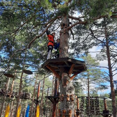 317096135 152124680882820 2045578703391062986 N