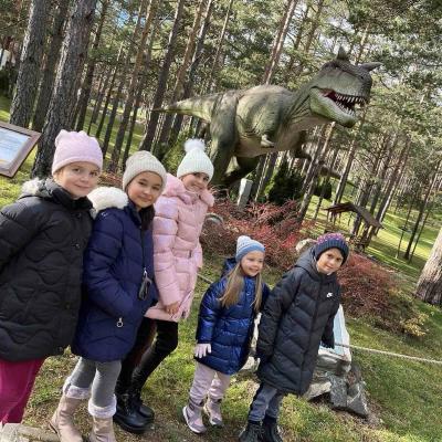 317254161 152119197550035 5714709452563755396 N